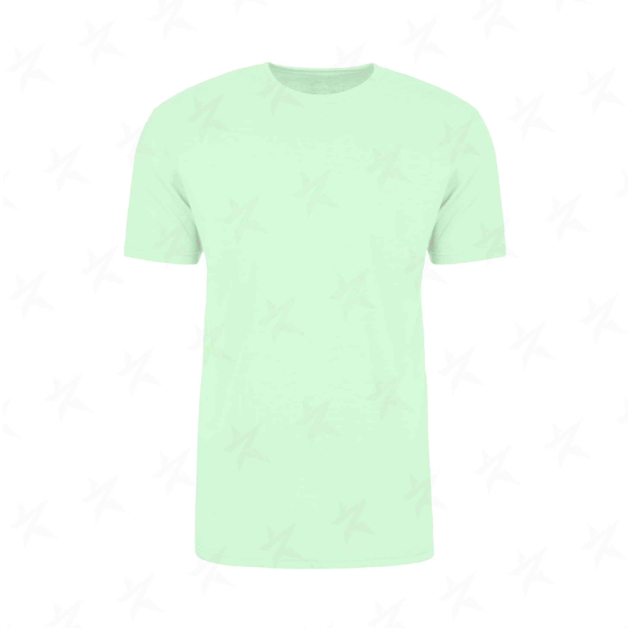 next-level-unisex-cvc-t-shirt-for-promo-n6210-mint