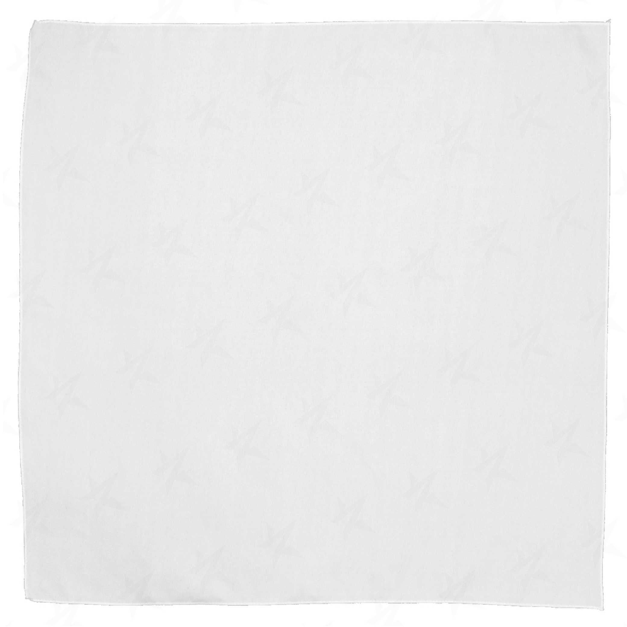 the-bandana-full-color-edition-7135HTOP3-blank